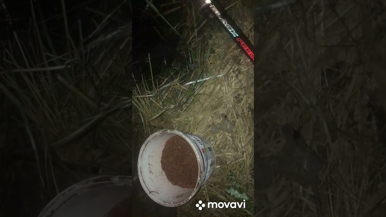 Рыбалка на острове Кревец