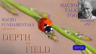 Depth of Field - Macro Fundamentals #6 - Macro Talk Too #204 -  AWPhotography 8/6/26