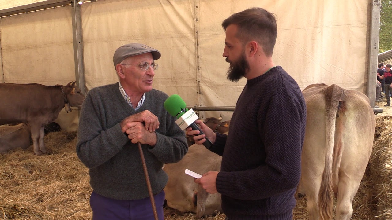 Entrevista Victor Molina Lobo / El Campo de Asturias