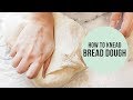 How to Knead Dough (without  a stand mixer!)