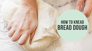 How to Use a Dough Hook to Knead Bread