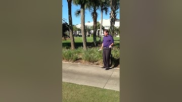 Immovable obstruction. USGA Rules