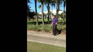 Immovable obstruction. USGA Rules