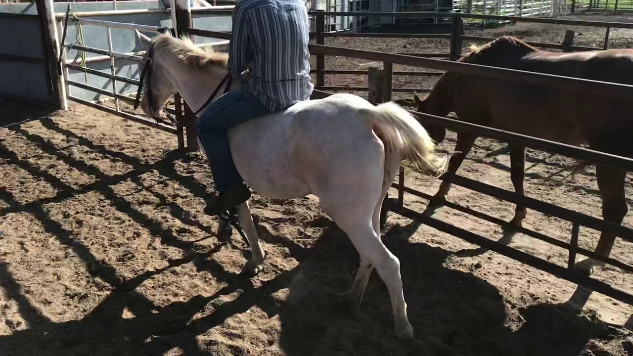 Kansas kill pen YouTube