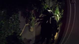 Crossfire Gelball. Saturday 350Fps Battle Royale