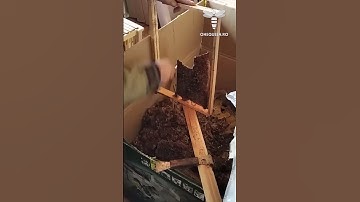 All honeycomb frames should be cleansed and disinfected before reusing, because a single infected..