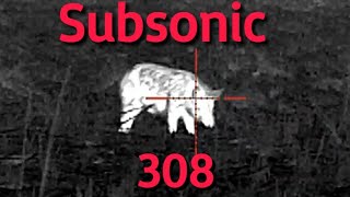 308 Subsonic V's Boar. How we shoot pigs / hogs the Aussie way. Pulsar Trail2 XP50 LRF. screenshot 3