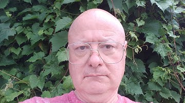 Zimmermann auto harp from 1800s and story