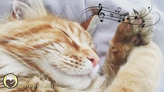 Cat Purring Sounds \& 528 Hz Healing Music - Stress Relief, Relaxation, Deep Sleep Music