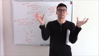 USMLE Neurology 4 Neuroanatomy Cortex