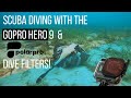 GoPro Hero 9 & Polar Pro Dive Filter Review, Settings, Tips | Scuba Diving - 5K