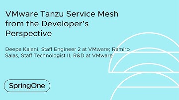 VMware Tanzu Service Mesh from the Developer’s Perspective