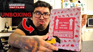UnderGround Reptiles Unboxing