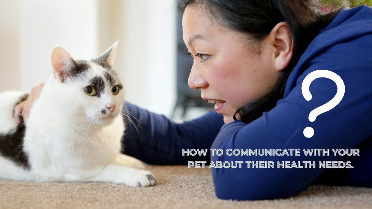Good Animal communication questions to communicate with your pet about