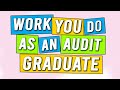 What you will be doing as an audit graduate [day to day]. Need to Know if starting in audit!