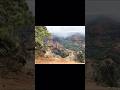 Hawaii Canyon Waimea Waterfall Lookout Solotravel Panoramic Mustsee Justdoit Hiking