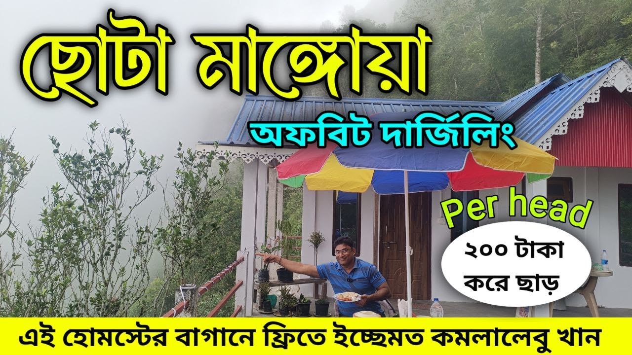 রুমে বসে কাঞ্চনজঙ্ঘা দেখতে দেখতে কমলালেবু পেড়ে খান, একদম কম খরচে হোমস্টেতে থাকা খাওয়া | Chota Mangwa