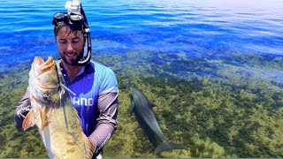 Best weather for Spearfishing!