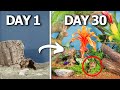 Simulating a rainforest for 30 days