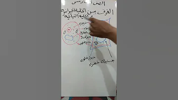 علوم المنهجالجديد الصف السادس الابتدائي الفرق بين الخليه الحيوانيه الخليه النباتية 