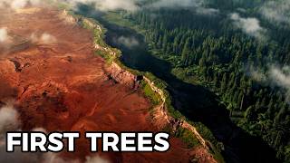 The First Trees Ever: How Plants Conquered Land And Nearly Destroyed The Planet | Sleep Stories Wealth