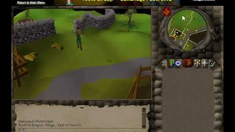 Running From Lumbridge to Varrock - RuneScape 2004