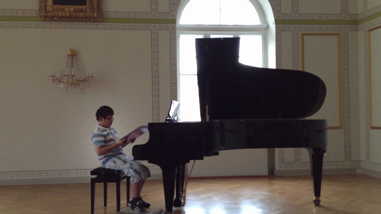 David Thien Für Elise.MOV