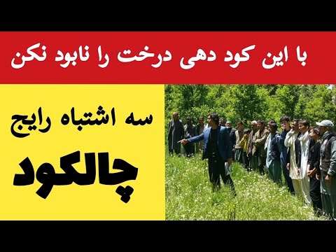 در زمان کود دهی به درختان این سه اشتباه را نکن که درخت نابود میشه روش درست چالکود به درختان میوه