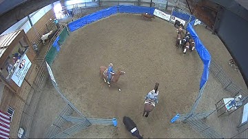 Big Sky Ranch Sorting Saddle Series Finals - Draw - Round #1 - Ride #3