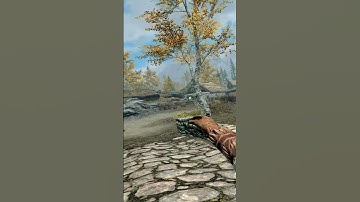 Anybody else would have made the same mistake. #skyrimvr