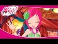 Winx Club Happy Birthday Tecna