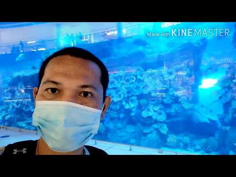 AQUARIUM INSIDE DUBAI MALL AMAZING