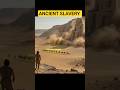 The Hebrew Boy Who Shocked a King |Daniel and The King