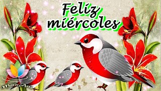 Buenos Dias Y Feliz Miercoles Positivo Con Frases De Buenos Dias Para Ti Abrelo Youtube Buenos Dias Y Feliz Miercoles Positivo Con Frases De Buenos Dias Para Ti Abrelo Youtube