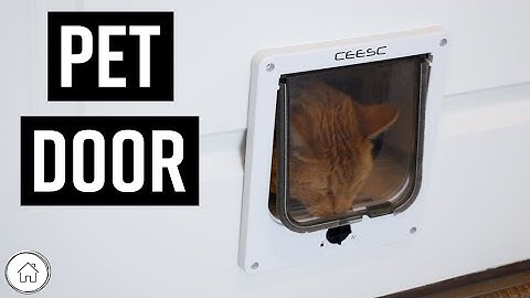 How to install a pet door DIY - small to medium pets