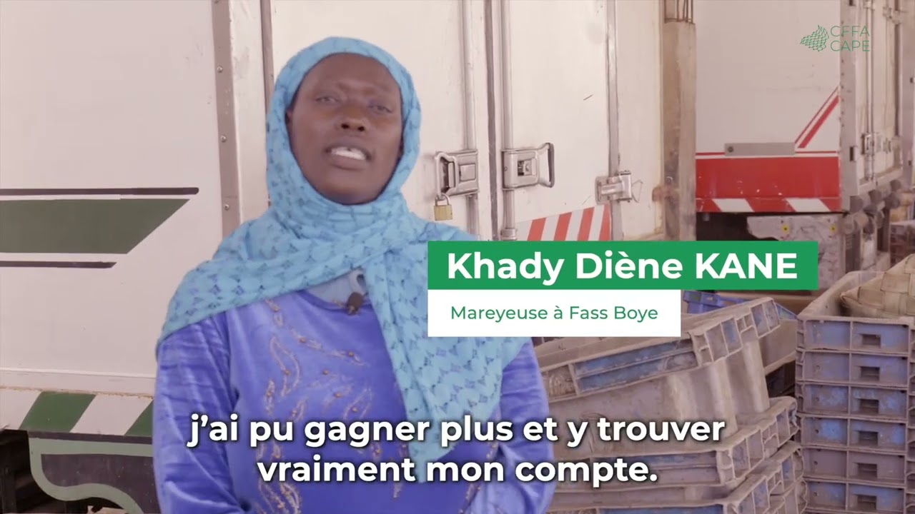 Un frigo solaire autonome pour réduire les pertes post-capture de la pêche artisanale au Sénégal