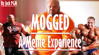 MOGGED - A Meme Experience