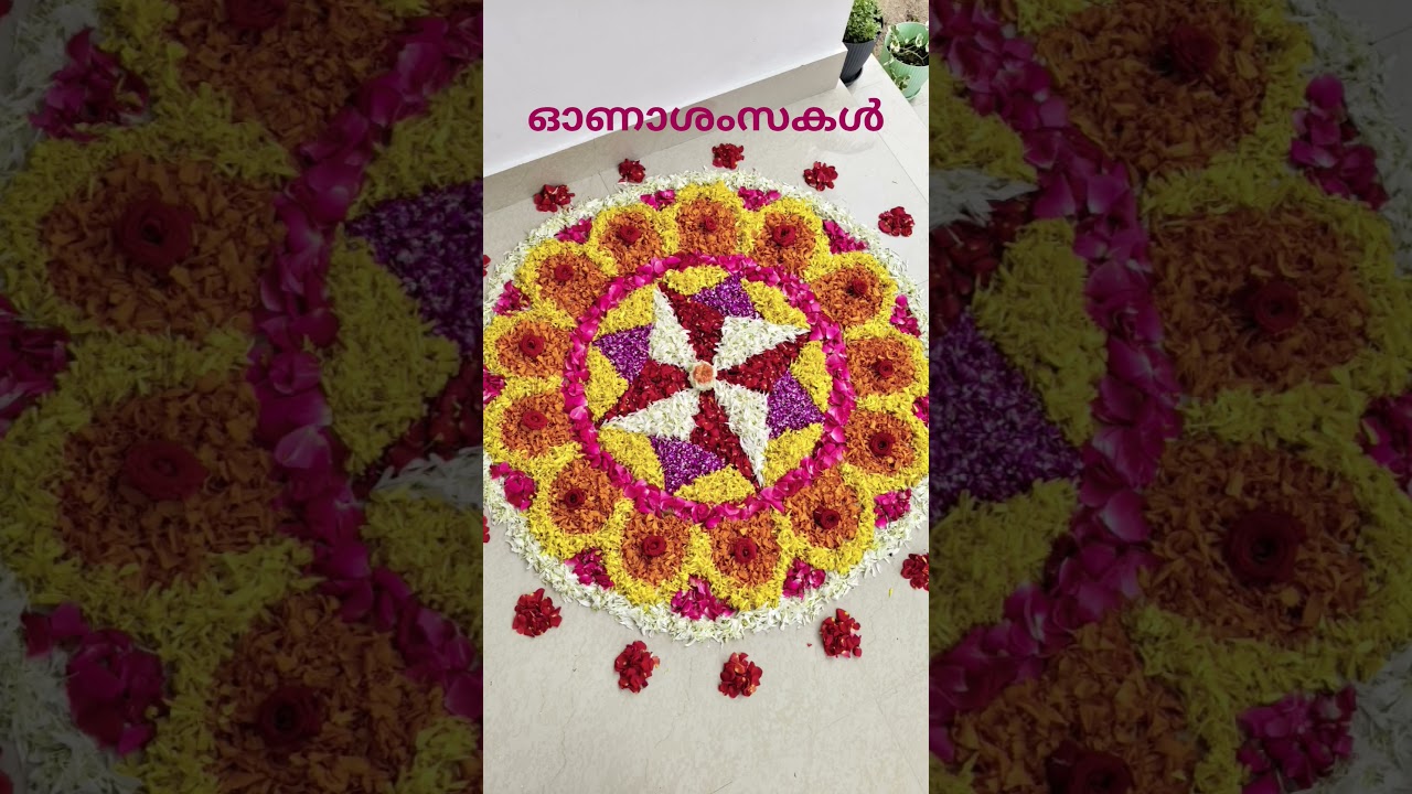 ഓണാശംസകൾ#thiruvonam #pookalam #onam #onamsadhyarecipe #sadhya #athapookalam#shorts#onamsong #travel