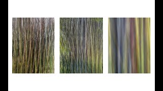 Creating a Triptych