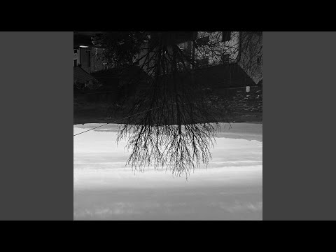 Virus, Antidote, VvS - GLOCK40