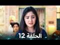 الغريب الحلقة 12  