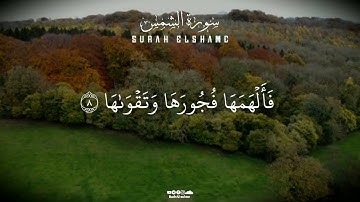 سورة الشمس | لفضيلة الشيخ بدر السلمي