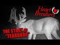 "Teardrop" The Untold Story of a 200+" Double Drop Tine Whitetail