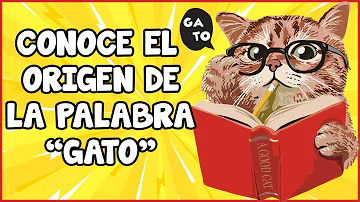 ¿Por qué llamamos gatos a los gatos?