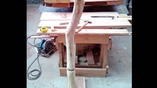 自然木のキャットタワー