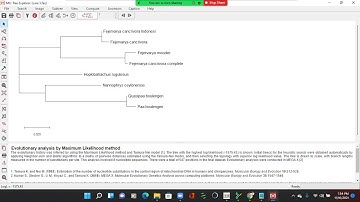 Analisis Filogenetika menggunakan Aplikasi  ClustalX dan Mega (by Kel 4B)
