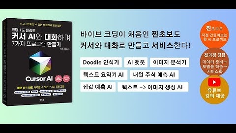 코딩 1도 몰라도 AI 개발자 되는 법?  AI와 