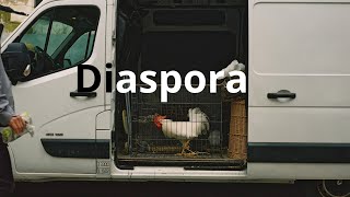 Diaspora : the trailer for the jewcer.