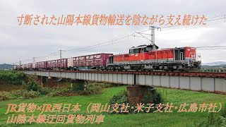 山陰迂回貨物DD51-1804+コキ7両（飯梨川橋梁）