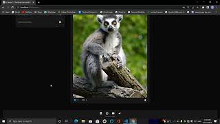 MERN STACK SOCIAL MEDIA WEBSITE + CHAT APP USING SOCKET IO screenshot 5